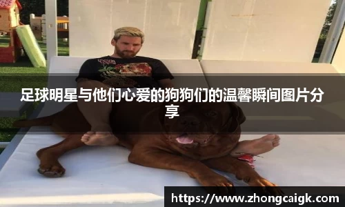 足球明星与他们心爱的狗狗们的温馨瞬间图片分享