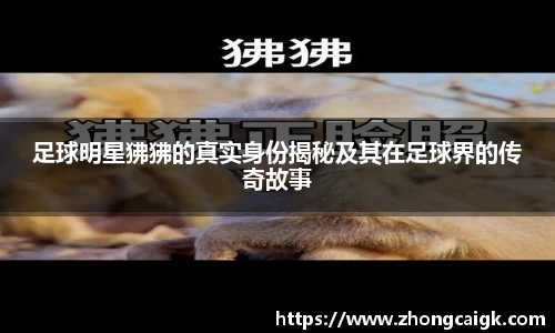 足球明星狒狒的真实身份揭秘及其在足球界的传奇故事