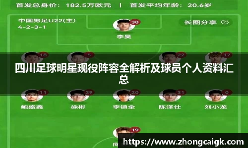 四川足球明星现役阵容全解析及球员个人资料汇总